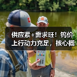 供应紧+需求旺!钨价上行动力充足,核心概念股年内股价已翻倍(图2) 供应紧+需求旺!钨价上行动力充足,核心概念股年内股价已翻倍(图2)
