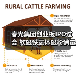春光集团创业板IPO过会 软磁铁氧体磁粉销量居国内首位丨A股融资快报(图4) 春光集团创业板IPO过会 软磁铁氧体磁粉销量居国内首位丨A股融资快报(图4)