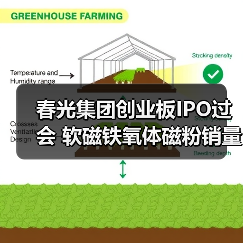 春光集团创业板IPO过会 软磁铁氧体磁粉销量居国内首位丨A股融资快报(图1) 春光集团创业板IPO过会 软磁铁氧体磁粉销量居国内首位丨A股融资快报(图1)