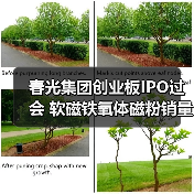 春光集团创业板IPO过会 软磁铁氧体磁粉销量居国内首位丨A股融资快报(图2) 春光集团创业板IPO过会 软磁铁氧体磁粉销量居国内首位丨A股融资快报(图2)