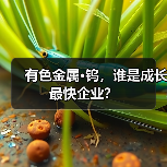 有色金属·钨,谁是成长最快企业?(图1) 有色金属·钨,谁是成长最快企业?(图1)