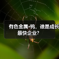 有色金属·钨,谁是成长最快企业?(图4) 有色金属·钨,谁是成长最快企业?(图4)