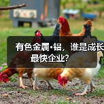 有色金属·铝,谁是成长最快企业?(图4) 有色金属·铝,谁是成长最快企业?(图4)