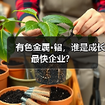 有色金属·铝,谁是成长最快企业?(图2) 有色金属·铝,谁是成长最快企业?(图2)