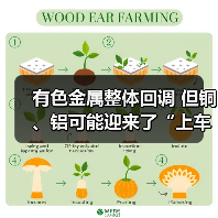 有色金属整体回调 但铜、铝可能迎来了“上车”良机(图1) 有色金属整体回调 但铜、铝可能迎来了“上车”良机(图1)