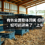 有色金属整体回调 但铜、铝可能迎来了“上车”良机(图4) 有色金属整体回调 但铜、铝可能迎来了“上车”良机(图4)