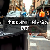 中国铝业盯上别人家饭碗了(图3) 中国铝业盯上别人家饭碗了(图3)
