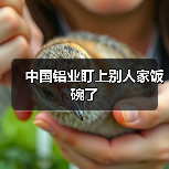 中国铝业盯上别人家饭碗了(图1) 中国铝业盯上别人家饭碗了(图1)