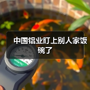 中国铝业盯上别人家饭碗了(图4) 中国铝业盯上别人家饭碗了(图4)