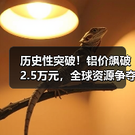 历史性突破!铝价飙破2.5万元,全球资源争夺战白热化(图2) 历史性突破!铝价飙破2.5万元,全球资源争夺战白热化(图2)