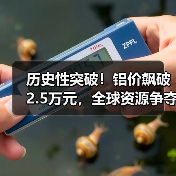 历史性突破!铝价飙破2.5万元,全球资源争夺战白热化(图4) 历史性突破!铝价飙破2.5万元,全球资源争夺战白热化(图4)
