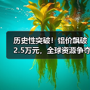 历史性突破!铝价飙破2.5万元,全球资源争夺战白热化(图3) 历史性突破!铝价飙破2.5万元,全球资源争夺战白热化(图3)