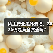 稀土行业集体暴增,2026仍是黄金赛道吗?(图2) 稀土行业集体暴增,2026仍是黄金赛道吗?(图2)