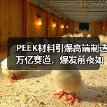 PEEK材料引爆高端制造万亿赛道,爆发前夜如何卡位?(图4) PEEK材料引爆高端制造万亿赛道,爆发前夜如何卡位?(图4)