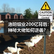 洛阳钼业200亿背后：神秘大佬如何逆袭？（图4）