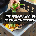 白银价格再创新高！供需失衡与光伏需求推高未来走势（图4）
