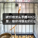 碳纤维龙头手握40亿订单,蛰伏待爆发的行业拐点(图2) 碳纤维龙头手握40亿订单,蛰伏待爆发的行业拐点(图2)