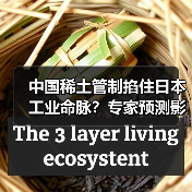 中国稀土管制掐住日本工业命脉?专家预测影响持续半年(图1) 中国稀土管制掐住日本工业命脉?专家预测影响持续半年(图1)