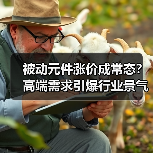 被动元件涨价成常态?高端需求引爆行业景气周期(图4) 被动元件涨价成常态?高端需求引爆行业景气周期(图4)