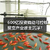 600亿投资撬动可控核聚变产业谁主沉浮？（图3）