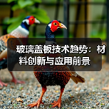 玻璃盖板技术趋势:材料创新与应用前景(图2) 玻璃盖板技术趋势:材料创新与应用前景(图2)