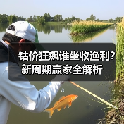 钴价狂飙谁坐收渔利?新周期赢家全解析(图2) 钴价狂飙谁坐收渔利?新周期赢家全解析(图2)