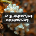 钴价狂飙谁坐收渔利?新周期赢家全解析(图3) 钴价狂飙谁坐收渔利?新周期赢家全解析(图3)