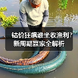 钴价狂飙谁坐收渔利?新周期赢家全解析(图4) 钴价狂飙谁坐收渔利?新周期赢家全解析(图4)