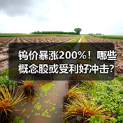 钨价暴涨200%!哪些概念股或受利好冲击?(图3) 钨价暴涨200%!哪些概念股或受利好冲击?(图3)