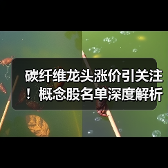 碳纤维龙头涨价引关注!概念股名单深度解析(图2) 碳纤维龙头涨价引关注!概念股名单深度解析(图2)