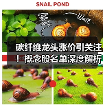 碳纤维龙头涨价引关注!概念股名单深度解析(图3) 碳纤维龙头涨价引关注!概念股名单深度解析(图3)