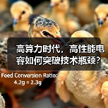 高算力时代,高性能电容如何突破技术瓶颈?国产替代机遇涌现(图4) 高算力时代,高性能电容如何突破技术瓶颈?国产替代机遇涌现(图4)
