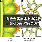 有色金属集体上扬背后,铜价为何持续走强?(图2) 有色金属集体上扬背后,铜价为何持续走强?(图2)