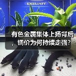 有色金属集体上扬背后,铜价为何持续走强?(图3) 有色金属集体上扬背后,铜价为何持续走强?(图3)