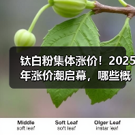 钛白粉集体涨价!2025年涨价潮启幕,哪些概念股受益?(图2) 钛白粉集体涨价!2025年涨价潮启幕,哪些概念股受益?(图2)