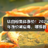 钛白粉集体涨价!2025年涨价潮启幕,哪些概念股受益?(图4) 钛白粉集体涨价!2025年涨价潮启幕,哪些概念股受益?(图4)