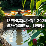 钛白粉集体涨价!2025年涨价潮启幕,哪些概念股受益?(图3) 钛白粉集体涨价!2025年涨价潮启幕,哪些概念股受益?(图3)