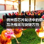 纳米级芯片制造中的铜互连瓶颈与突破方向(图2) 纳米级芯片制造中的铜互连瓶颈与突破方向(图2)