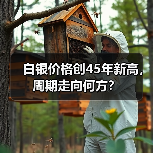 白银价格创45年新高,周期走向何方?(图1) 白银价格创45年新高,周期走向何方?(图1)