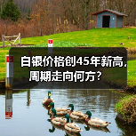 白银价格创45年新高,周期走向何方?(图4) 白银价格创45年新高,周期走向何方?(图4)