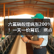六氟磷酸锂疯涨200%!一天一价背后,拐点何时到?(图2) 六氟磷酸锂疯涨200%!一天一价背后,拐点何时到?(图2)