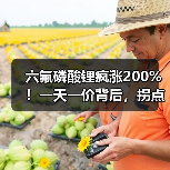 六氟磷酸锂疯涨200%!一天一价背后,拐点何时到?(图1) 六氟磷酸锂疯涨200%!一天一价背后,拐点何时到?(图1)