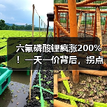 六氟磷酸锂疯涨200%!一天一价背后,拐点何时到?(图3) 六氟磷酸锂疯涨200%!一天一价背后,拐点何时到?(图3)