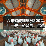 六氟磷酸锂疯涨200%!一天一价背后,拐点何时到?(图4) 六氟磷酸锂疯涨200%!一天一价背后,拐点何时到?(图4)