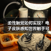 柔性触觉如何实现?电子皮肤感知世界触手可及(图1) 柔性触觉如何实现?电子皮肤感知世界触手可及(图1)