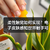 柔性触觉如何实现?电子皮肤感知世界触手可及(图3) 柔性触觉如何实现?电子皮肤感知世界触手可及(图3)