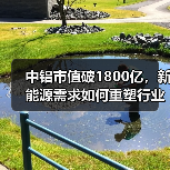 中铝市值破1800亿,新能源需求如何重塑行业格局?(图2) 中铝市值破1800亿,新能源需求如何重塑行业格局?(图2)