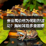 贵金属价格为何剧烈波动？揭秘背后多重因素（图3）