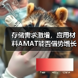 存储需求激增,应用材料AMAT能否借势增长?(图2) 存储需求激增,应用材料AMAT能否借势增长?(图2)