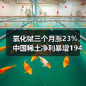 氧化铽三个月涨23%，中国稀土净利暴增194%的底层逻辑（图1）